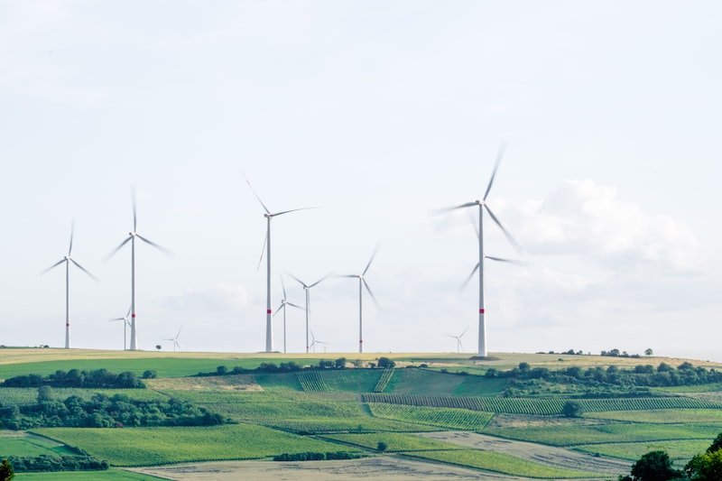 Environmental Laws All Over The World